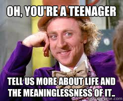 Oh, you're a teenager Tell us more about life and the meaninglessness of it.. - Oh, you're a teenager Tell us more about life and the meaninglessness of it..  Tell me more