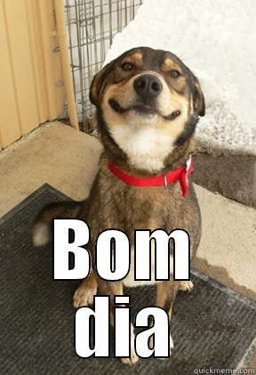  BOM DIA Good Dog Greg