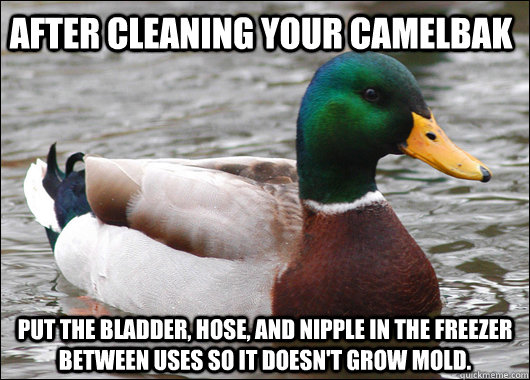 After cleaning your camelbak Put the bladder, hose, and nipple in the freezer between uses so it doesn't grow mold.  Actual Advice Mallard