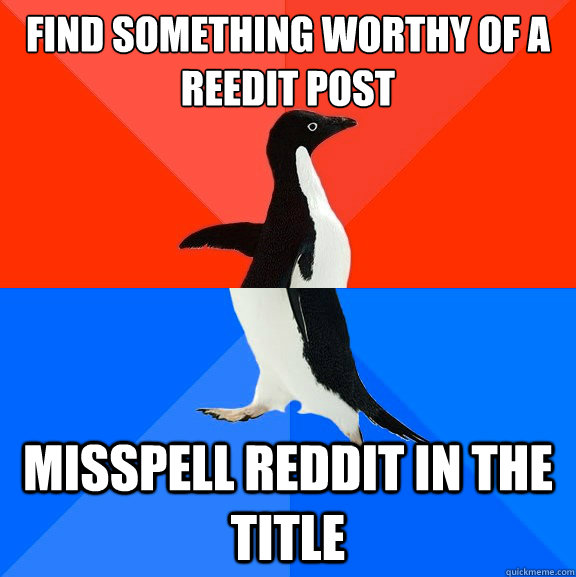 find something worthy of a reedit post misspell reddit in the title  Socially Awesome Awkward Penguin