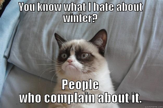 YOU KNOW WHAT I HATE ABOUT WINTER? PEOPLE WHO COMPLAIN ABOUT IT. Grumpy Cat