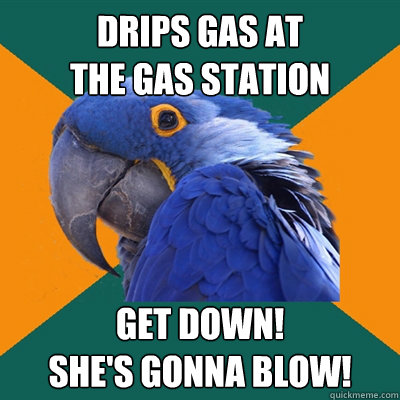 Drips gas at 
the gas station get down!
she's gonna blow!  Paranoid Parrot