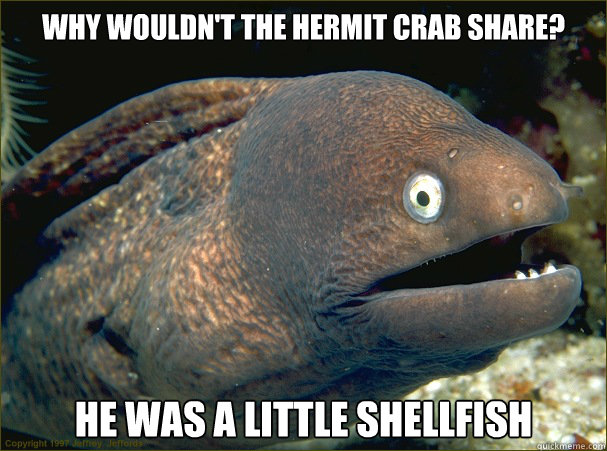 Why wouldn't the hermit crab share? He was a little shellfish  Bad Joke Eel