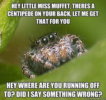 Hey Little miss muffet, Theres a centipede on your Back, let me get that for you Hey where are you running off to? Did i say something wrong?  Misunderstood Spider