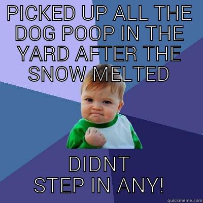 PICKED UP ALL THE DOG POOP IN THE YARD AFTER THE SNOW MELTED DIDNT STEP IN ANY! Success Kid
