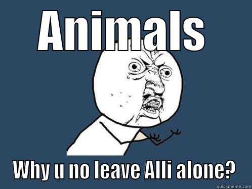 ANIMALS WHY U NO LEAVE ALLI ALONE? Y U No