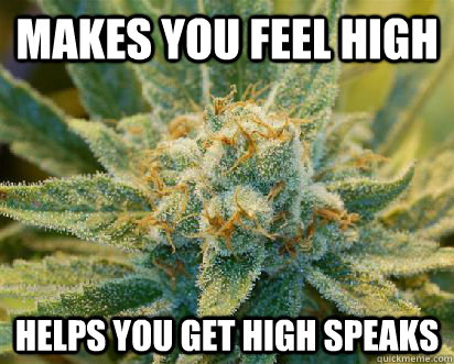 Makes you feel high Helps you get high speaks  Good Guy Weed