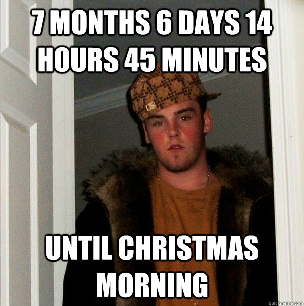 7 Months 6 days 14 hours 45 minutes  Until Christmas Morning  Scumbag Steve