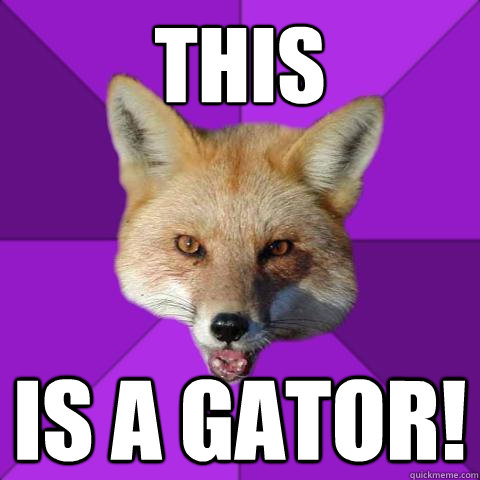 This  Is a Gator!  Forensics Fox