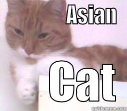                 ASIAN       CAT Misc