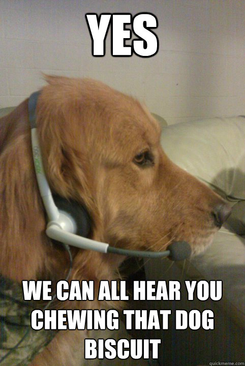 yes we can all hear you chewing that dog biscuit - yes we can all hear you chewing that dog biscuit  Xbox Live Dog