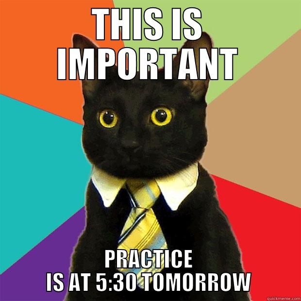 THIS IS IMPORTANT PRACTICE IS AT 5:30 TOMORROW Business Cat