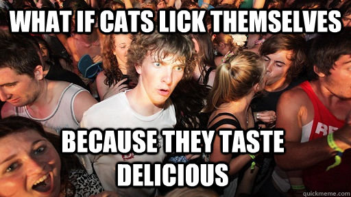 What if cats lick themselves because they taste delicious   Sudden Clarity Clarence