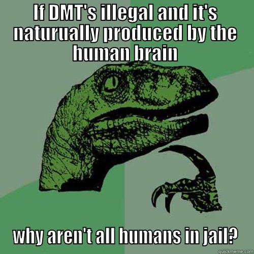 IF DMT'S ILLEGAL AND IT'S NATURUALLY PRODUCED BY THE HUMAN BRAIN WHY AREN'T ALL HUMANS IN JAIL? Philosoraptor