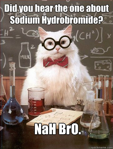 Did you hear the one about Sodium Hydrobromide?
  NaH BrO. - Did you hear the one about Sodium Hydrobromide?
  NaH BrO.  Science Cat