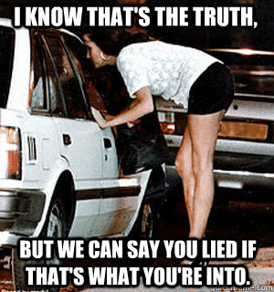 I know that's the truth, but we can say you lied if that's what you're into.  Karma Whore
