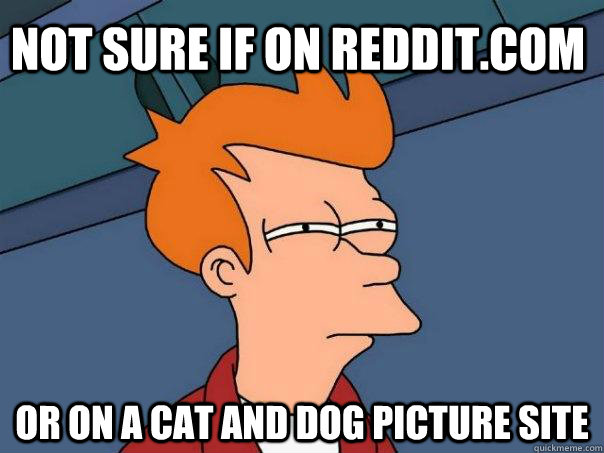 Not sure if on reddit.com or on a cat and dog picture site  Futurama Fry