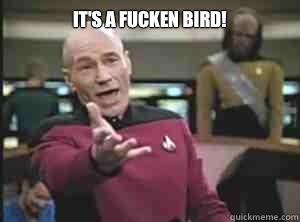 It's a fucken bird!   Annoyed Picard