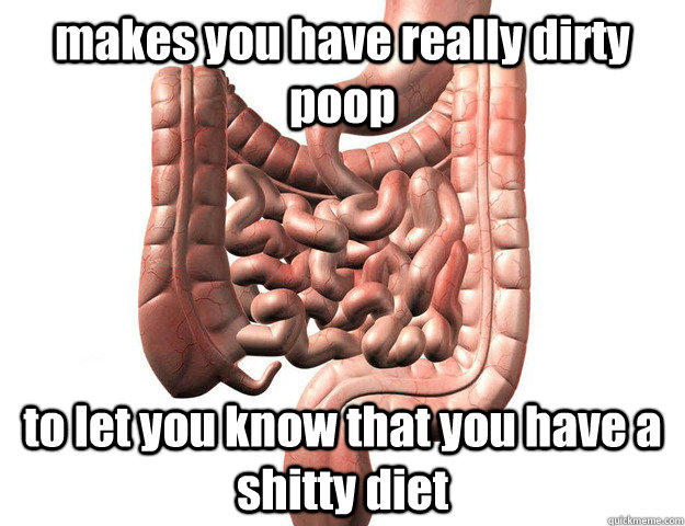 makes you have really dirty poop to let you know that you have a shitty diet  Scumbag Intestine