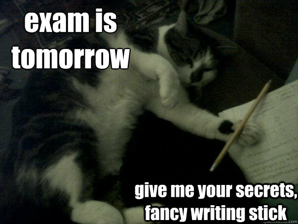 exam is 
tomorrow give me your secrets, fancy writing stick  Revision Kitty