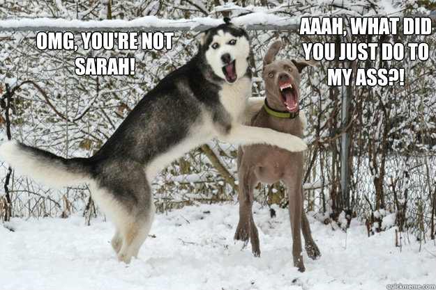 OMG, you're not Sarah! AAAH, what did you just do to my ass?! - OMG, you're not Sarah! AAAH, what did you just do to my ass?!  Misc
