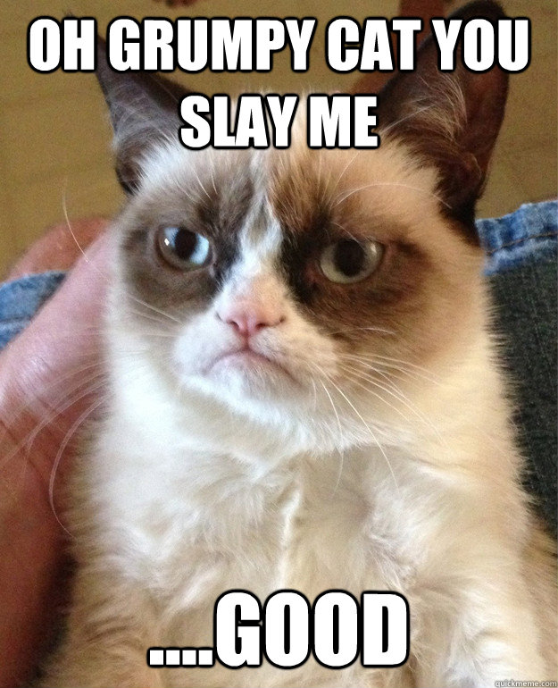 Oh Grumpy Cat You Slay Me ....GOOD - Oh Grumpy Cat You Slay Me ....GOOD  Grumpy Cat
