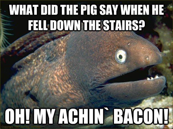 what did the pig say when he fell down the stairs?  oh! my achin` bacon!  Bad Joke Eel