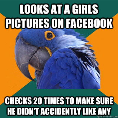 Looks at a girls pictures on Facebook Checks 20 times to make sure he didn't accidently like any  Paranoid Parrot