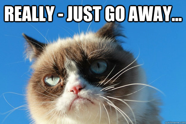 really - just go away...   Grumpy Cat Just Go Away