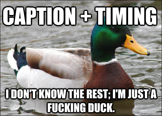 Caption + timing I don't know the rest; I'm just a fucking duck.  Actual Advice Mallard