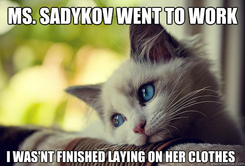 Ms. Sadykov went to work i was'nt finished laying on her clothes  First World Problems Cat