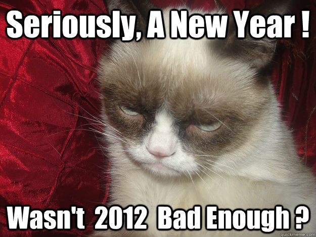 Seriously, A New Year ! Wasn't  2012  Bad Enough ?  