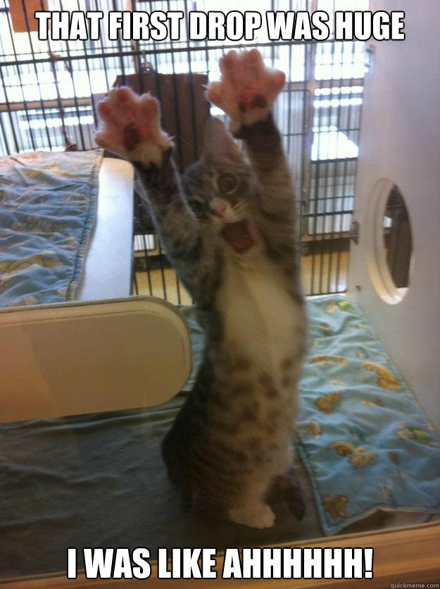 that first drop was huge i was like ahhhhhh! - that first drop was huge i was like ahhhhhh!  Hands Up Kitty