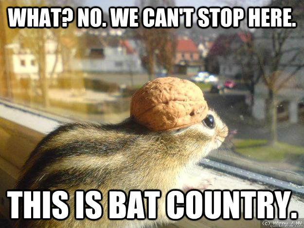 What? No. We can't stop here. This is bat country. - What? No. We can't stop here. This is bat country.  Adventure Chipmunk