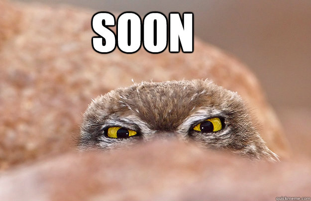 Soon  Soon