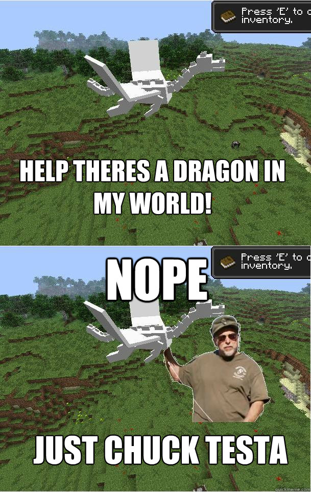 HELP THERES A DRAGON IN MY WORLD! NOPE Just Chuck Testa  Minecraft Dragon