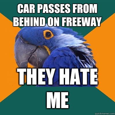 Car passes from behind on freeway They hate me  Paranoid Parrot