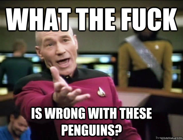 what the fuck is wrong with these penguins?  Annoyed Picard HD