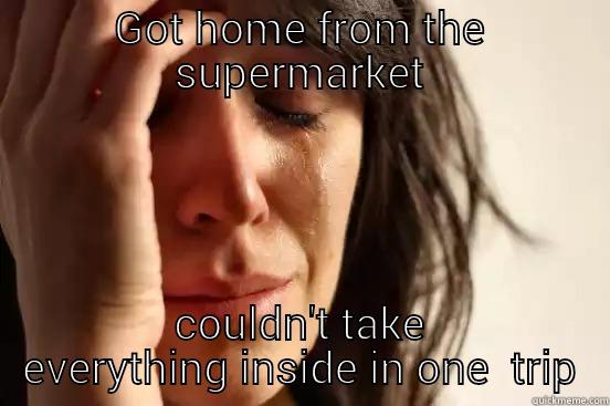 GOT HOME FROM THE SUPERMARKET COULDN'T TAKE EVERYTHING INSIDE IN ONE TRIP First World Problems