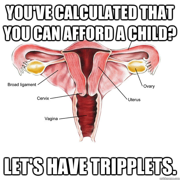 You've calculated that you can afford a child? Let's have tripplets. - You've calculated that you can afford a child? Let's have tripplets.  Scumbag Uterus