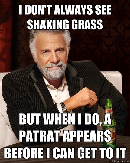 I don't always see shaking grass But when I do, a Patrat appears before I can get to it  The Most Interesting Man In The World
