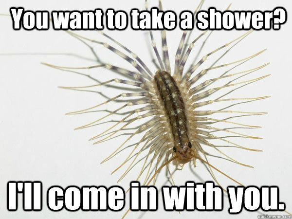 You want to take a shower? I'll come in with you. - You want to take a shower? I'll come in with you.  House Centipede
