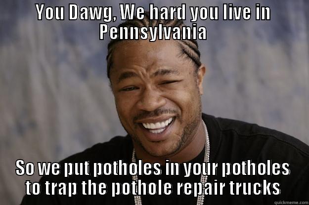 YOU DAWG, WE HARD YOU LIVE IN PENNSYLVANIA SO WE PUT POTHOLES IN YOUR POTHOLES TO TRAP THE POTHOLE REPAIR TRUCKS Xzibit meme