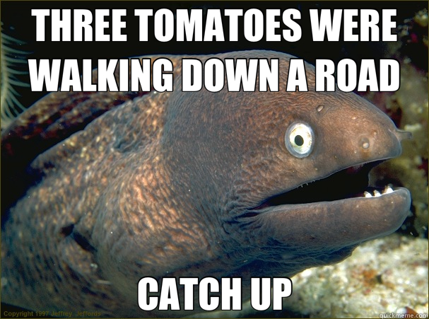 THREE TOMATOES WERE WALKING DOWN A ROAD CATCH UP  Bad Joke Eel