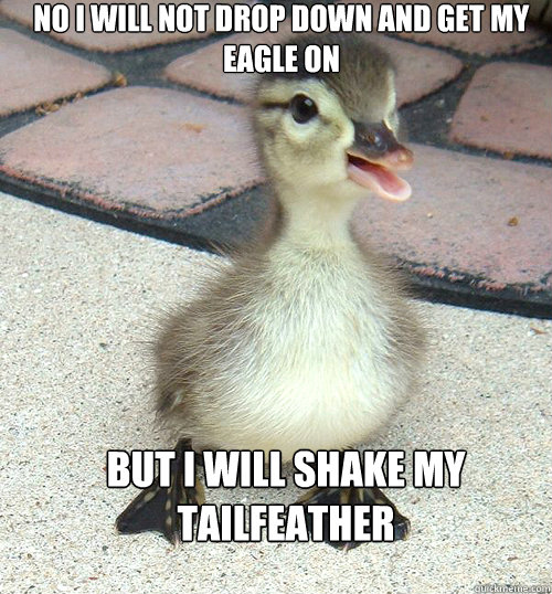 NO I WILL NOT DROP DOWN AND GET MY EAGLE ON BUT I WILL SHAKE MY TAILFEATHER  ugly duckling