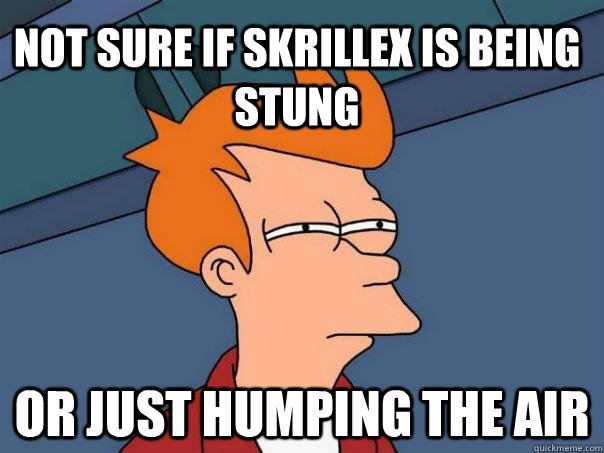 Not sure if Skrillex is being stung or just humping the air  Futurama Fry