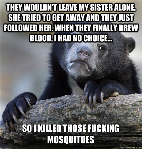 They wouldn't leave my sister alone. She tried to get away and they just followed her. When they finally drew blood, I had no choice... so i killed those fucking mosquitoes  Confession Bear
