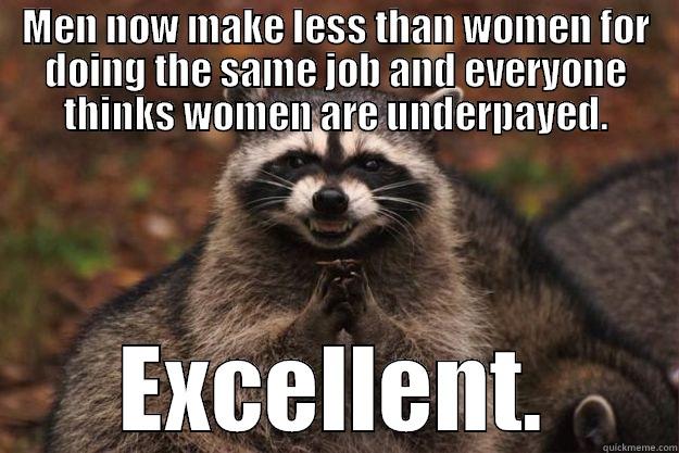 MEN NOW MAKE LESS THAN WOMEN FOR DOING THE SAME JOB AND EVERYONE THINKS WOMEN ARE UNDERPAYED. EXCELLENT. Evil Plotting Raccoon