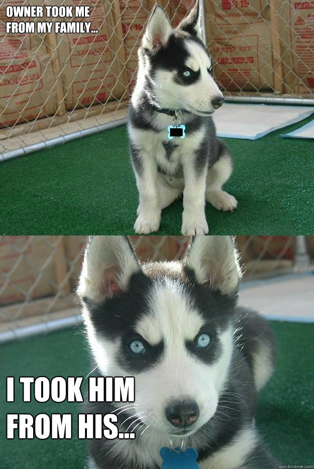 Owner took me 
from my Family... I took him 
from his...  Insanity puppy