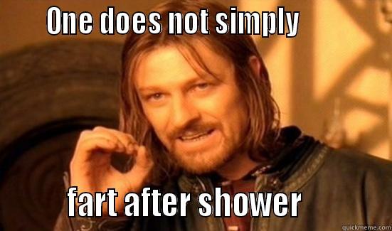 Am i the oa -      ONE DOES NOT SIMPLY                      FART AFTER SHOWER            Boromir
